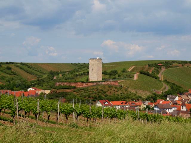 21 Schwabsburg Schlossturm