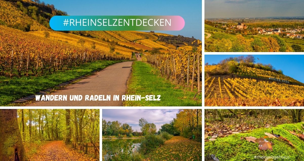 Wandern und radeln in Rhein-Selz