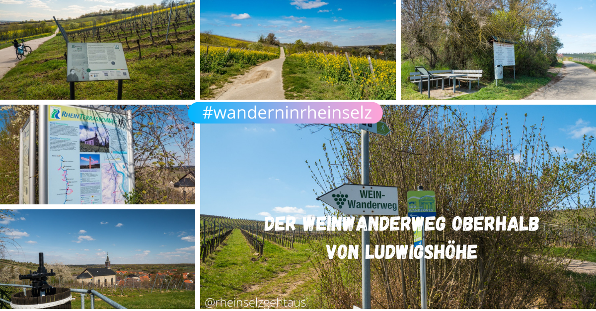 WeinWanderwegLudwigshoeh_20220413-155935_1