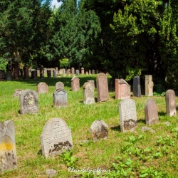 Der Jüdische Friedhof
